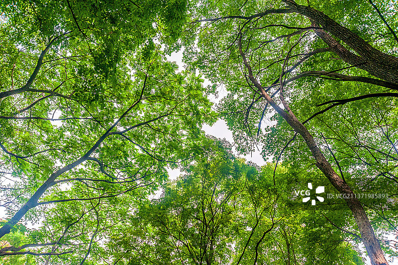 中国辽宁鞍山千山仙人台图片素材