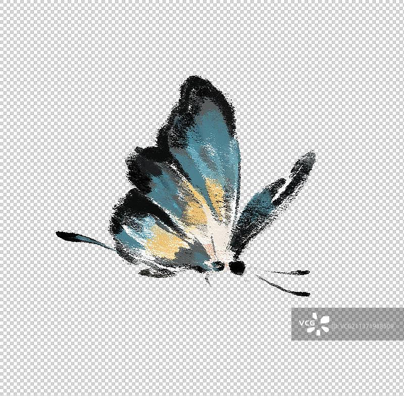 彩色蝴蝶插画元素图片素材