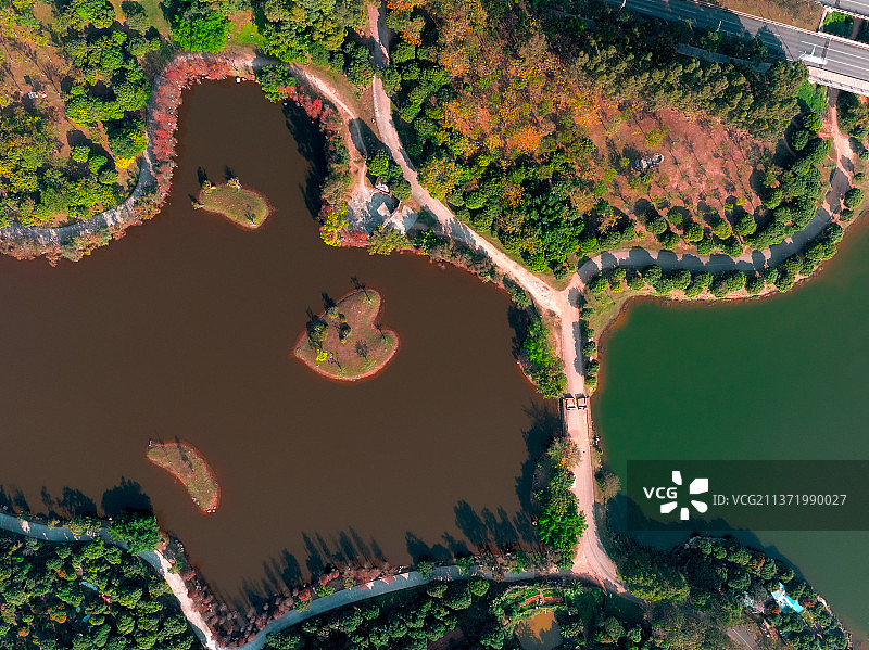 爱心守护图片素材