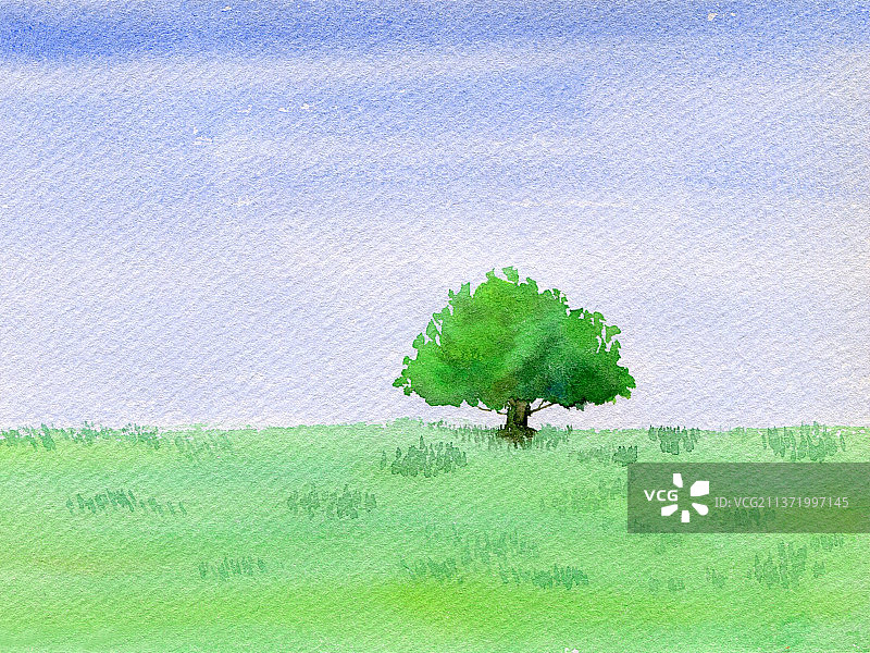 草原上的一棵树图片素材