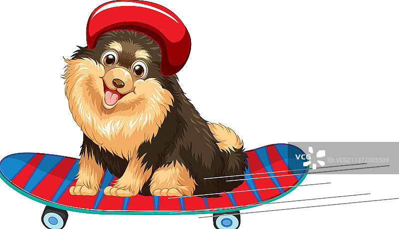 戴头盔踩滑板的博美犬图片素材