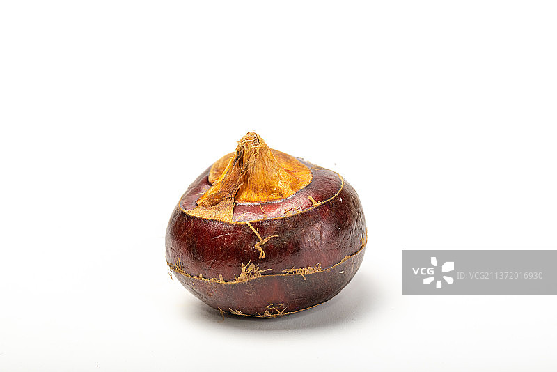 新鲜马蹄水果荸荠图片素材