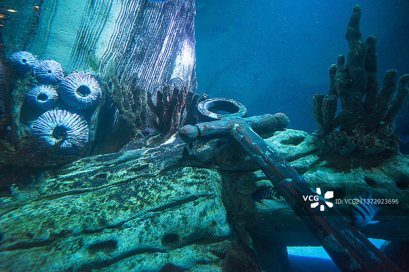 海底沉船遗迹图片素材