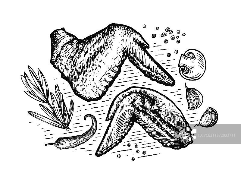 素描风格的美味烤鸡翅图片素材