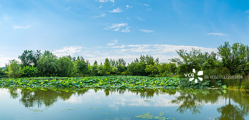 杭州滨江区白马湖公园 园林景观 公园荷塘 户外郊区大自然风光图片素材