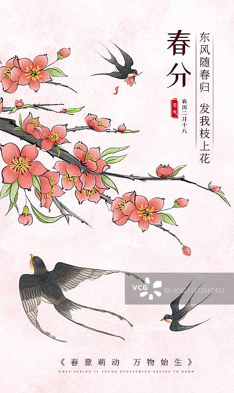 春分二十四节气插画海报图片素材