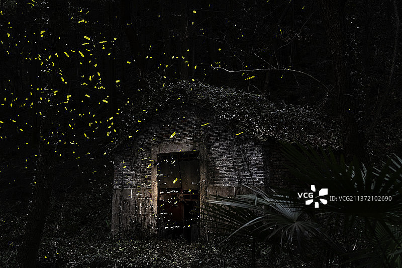 萤火虫的家-每个女孩心中都有一片萤火虫之森，那里住了一个少年！图片素材