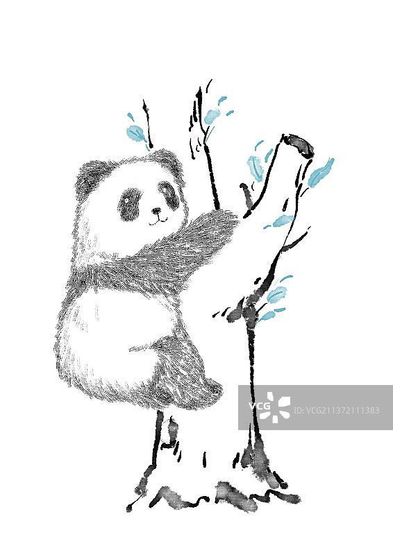 国宝大熊猫图片素材