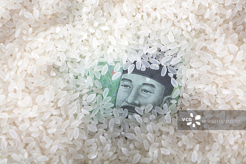 大米覆盖下的韩元钞票露出世宗大王肖像图片素材