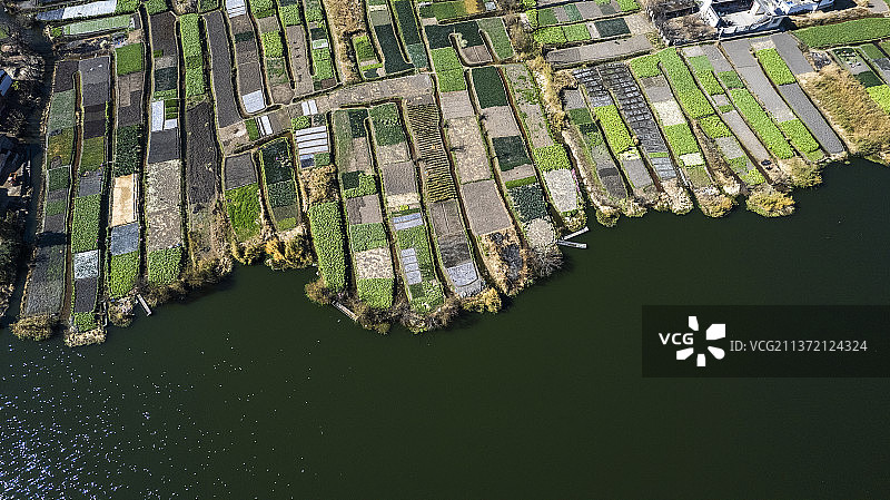 大理西湖的田园风光图片素材