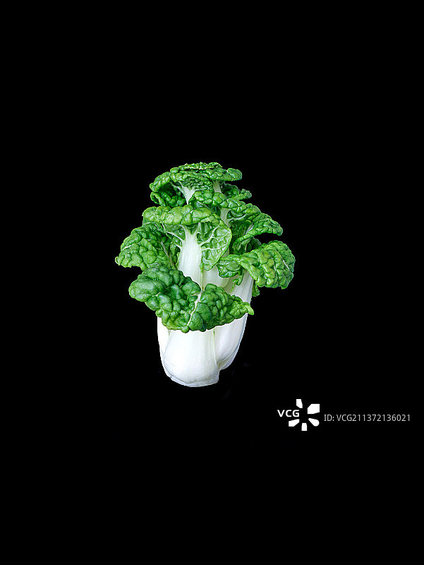 青菜 蔬菜 菜市场 买菜图片素材