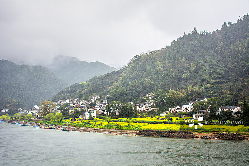 黄山歙县风光 深渡镇 九砂村 皖南 徽州 新安江画廊 春天 油菜花 花田 水乡 徽派建筑图片素材