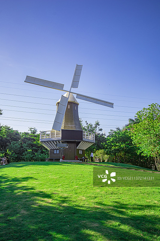 深圳荷兰花卉小镇图片素材