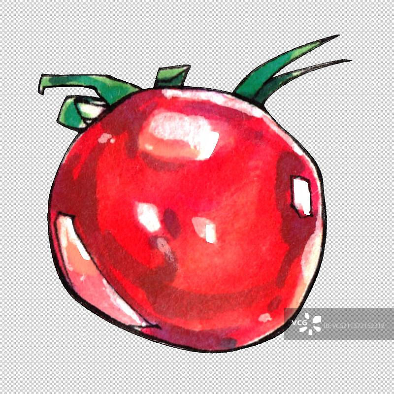 圣女果 番茄 西红柿 新鲜水果多汁维生素营养均衡图片素材