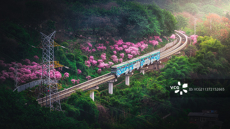 开往春天的列车图片素材