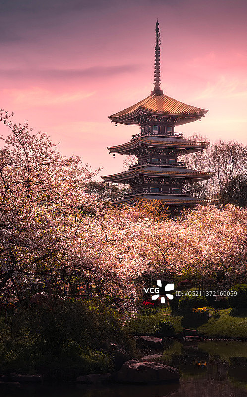 武汉东湖樱园五重塔，彩霞艺术效果。图片素材