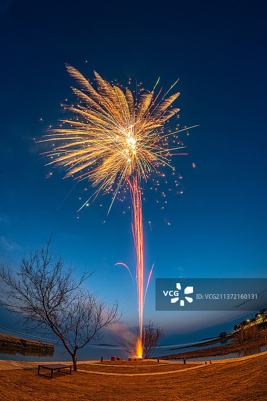 鱼眼里的烟花图片素材