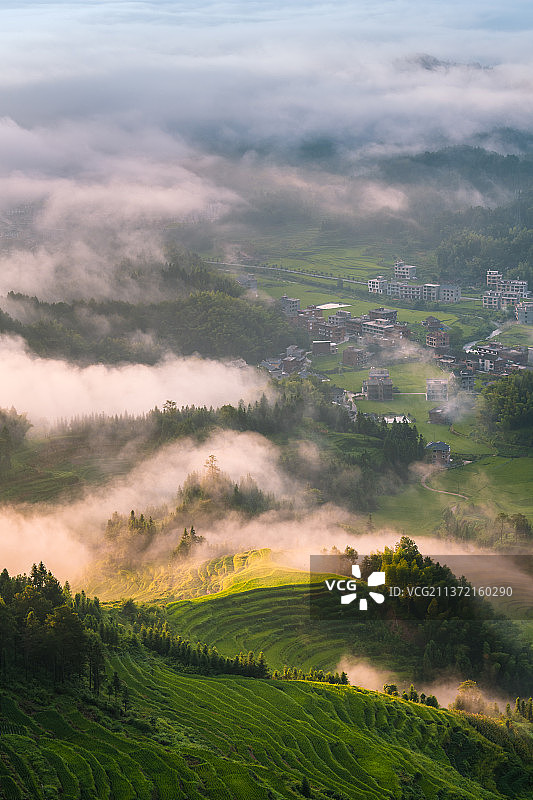 紫鹊界梯田图片素材