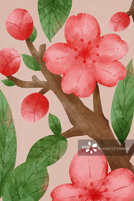 美丽樱花图片素材