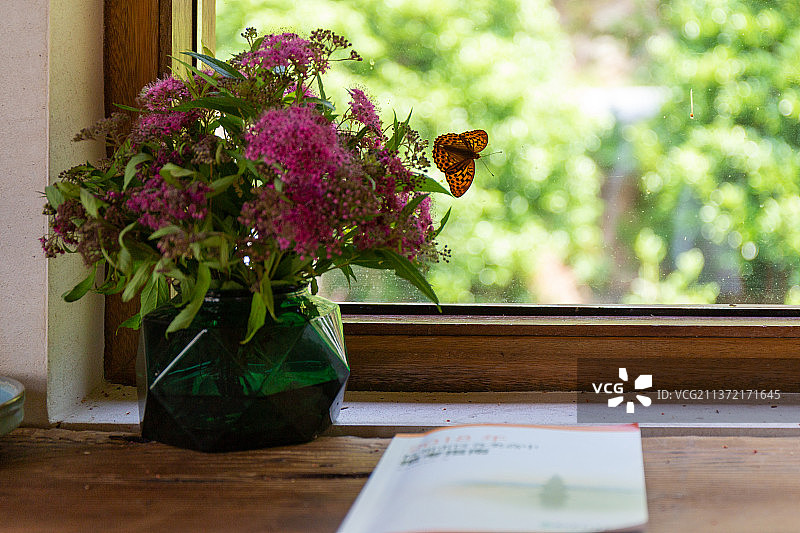 茂山民宿图片素材