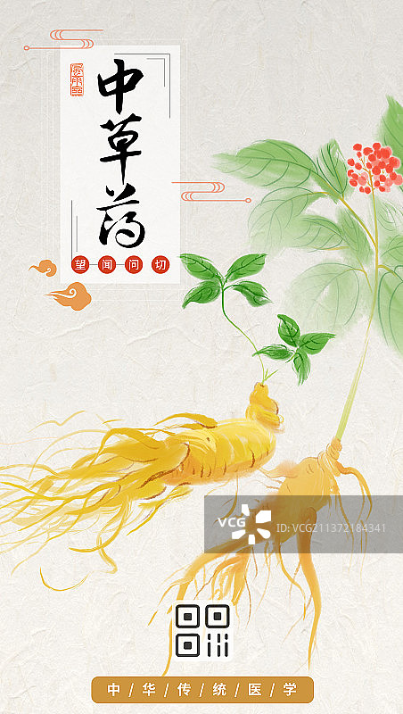 中医中药养生人参图片素材