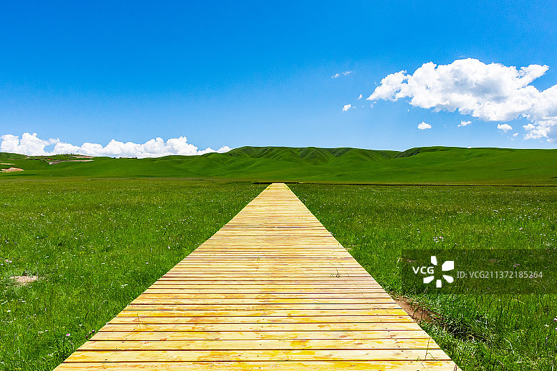 甘加草原图片素材