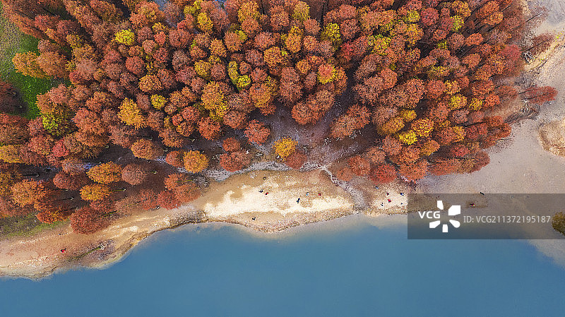 非都市风光地形户外水下摄影日落白昼秋天自然美宁静旅行旅游自然风景海洋生命图像剪影无人树天鹅雀科苍头燕雀珊瑚反射日光礁石水海洋湖植物图片素材