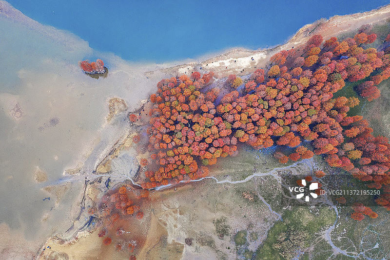 非都市风光地形户外水下摄影日落白昼秋天自然美宁静旅行旅游自然风景海洋生命图像剪影无人树天鹅雀科苍头燕雀珊瑚反射日光礁石水海洋湖植物图片素材