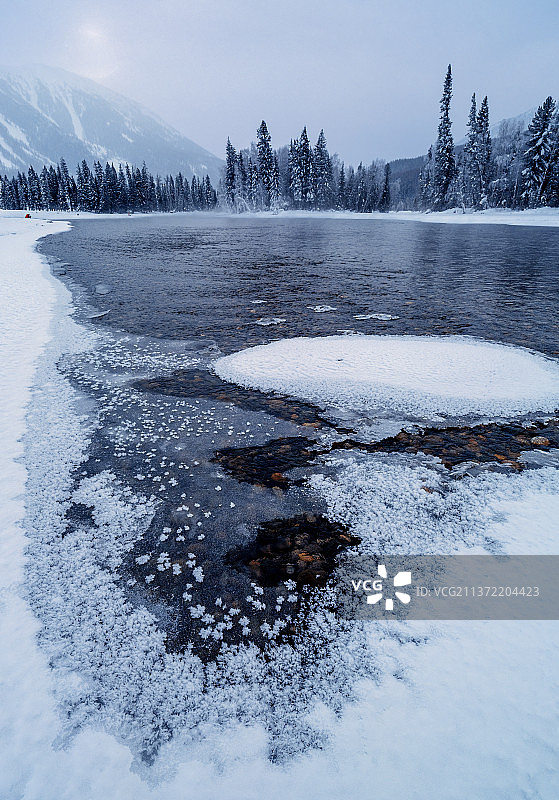 冰雪喀纳斯鸭泽湖图片素材