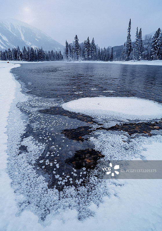 冰雪喀纳斯鸭泽湖图片素材