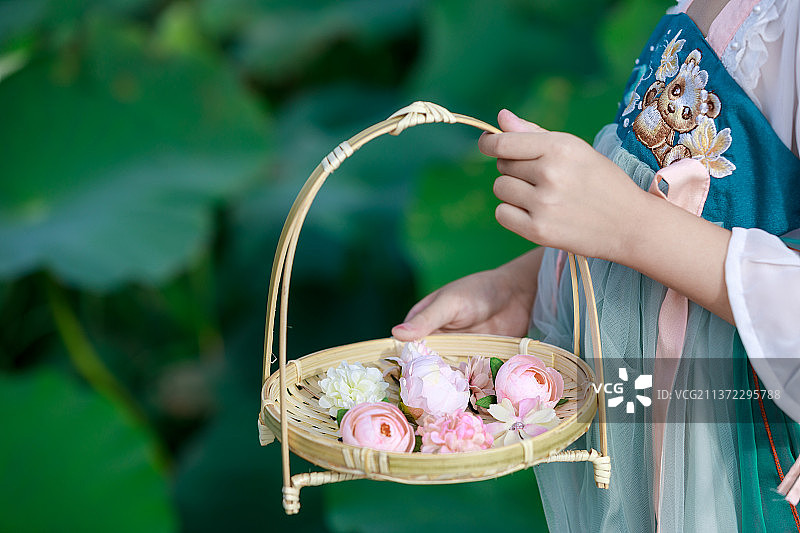 穿汉服女孩赏荷花图片素材