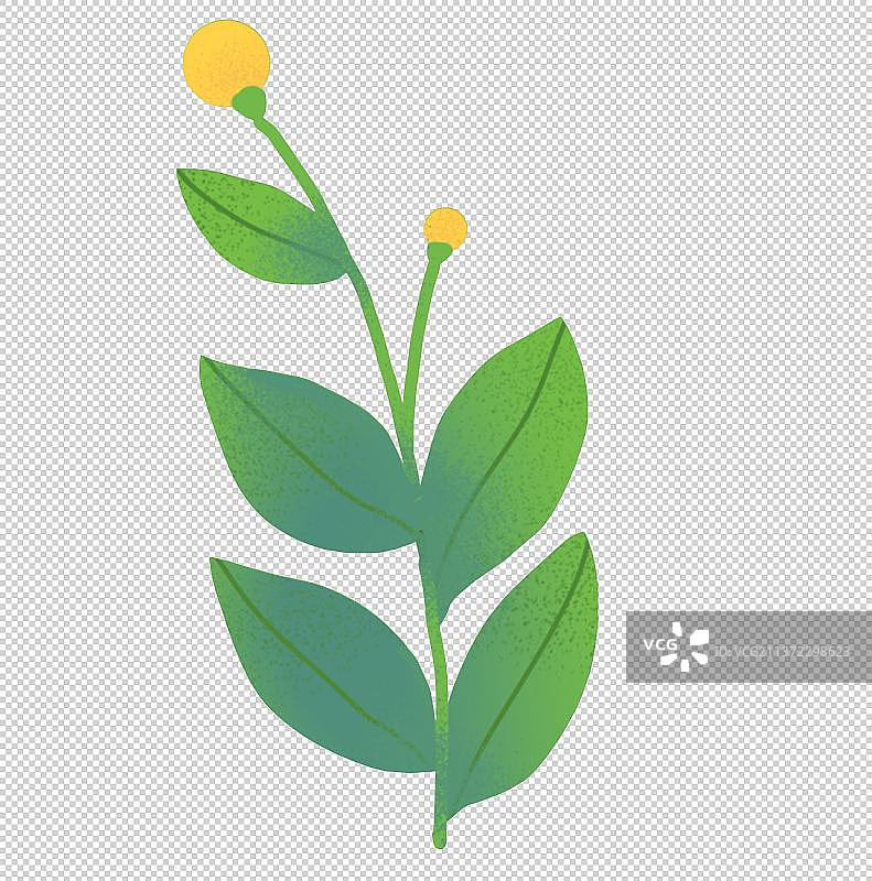 二十四节气春分元素绿色植物图片素材