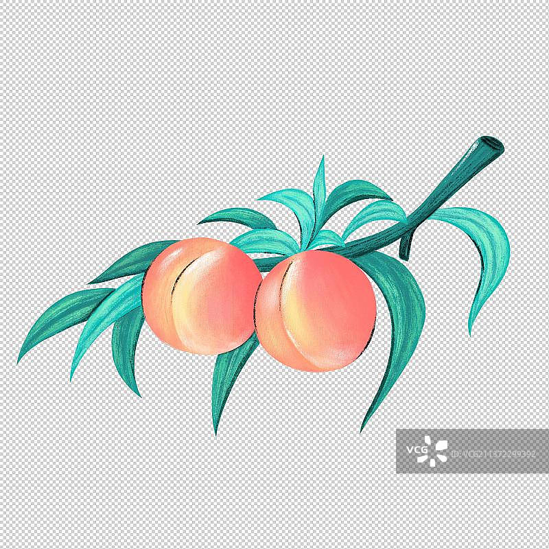 手绘枝头上的绿叶和水蜜桃图片素材