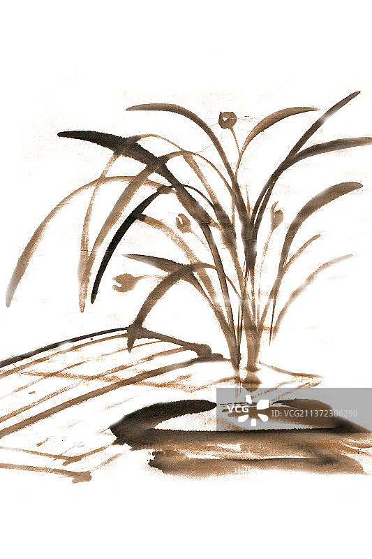 书籍与兰草图片素材