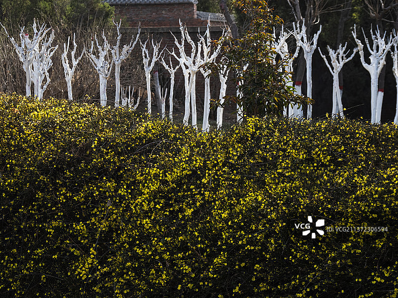 公园，园林图片素材