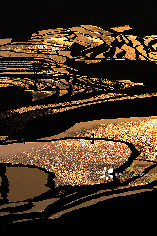 水墨梯田图片素材