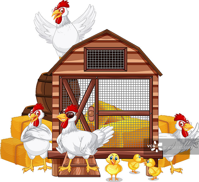 一群鸡的独立场景图片素材