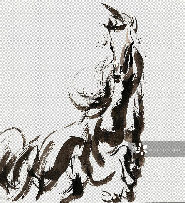奔腾的骏马图片素材