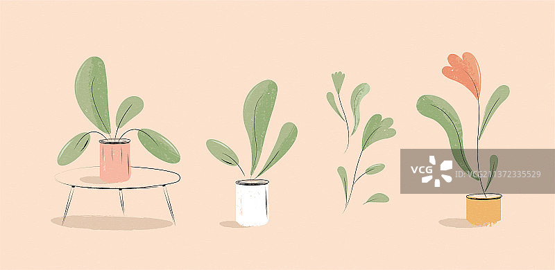 手绘风格室内植物盆栽插图集合图片素材