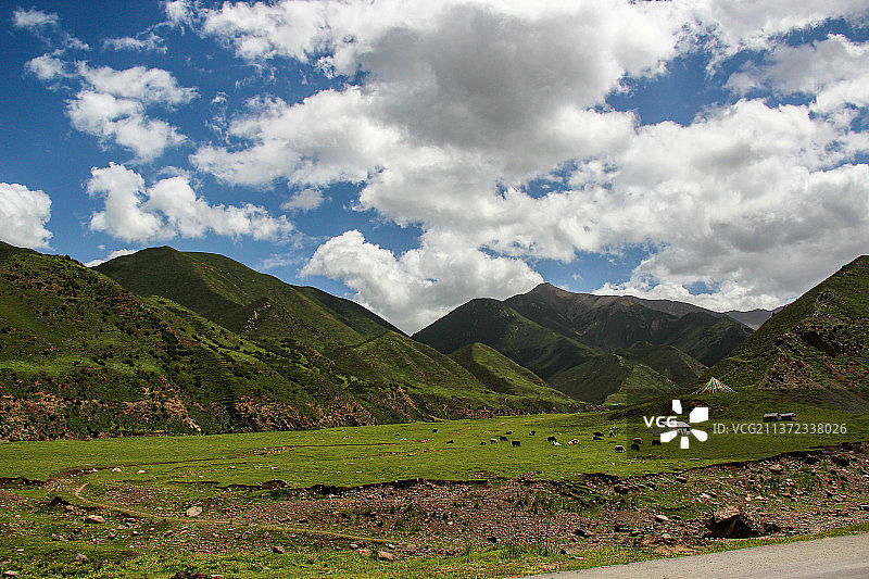 甘肃张掖民乐祁连山扁渡口油菜花图片素材