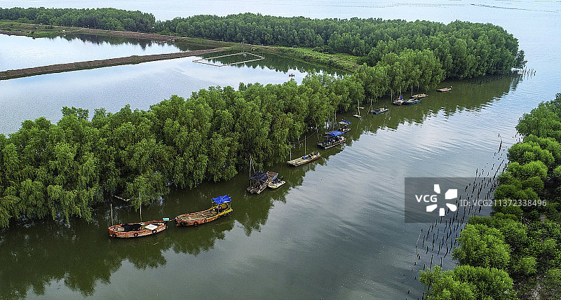 生态家园之三图片素材