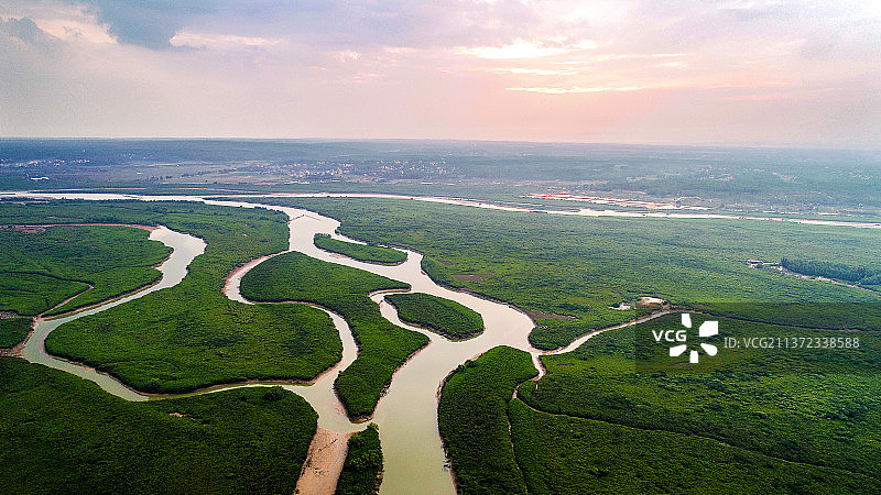 高桥 红树林晚霞图片素材