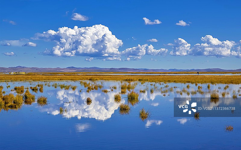 若尔盖花湖图片素材
