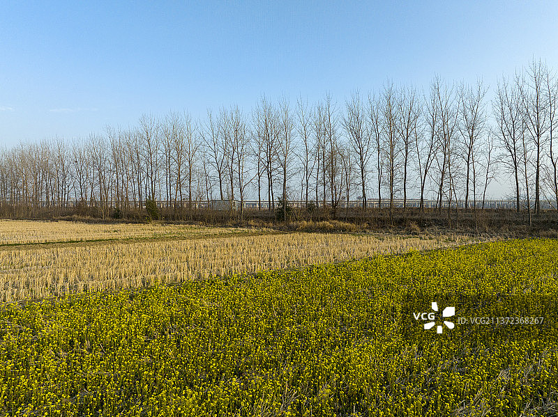 春天田野田园自然风光图片素材