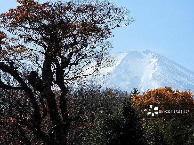 富士山图片素材