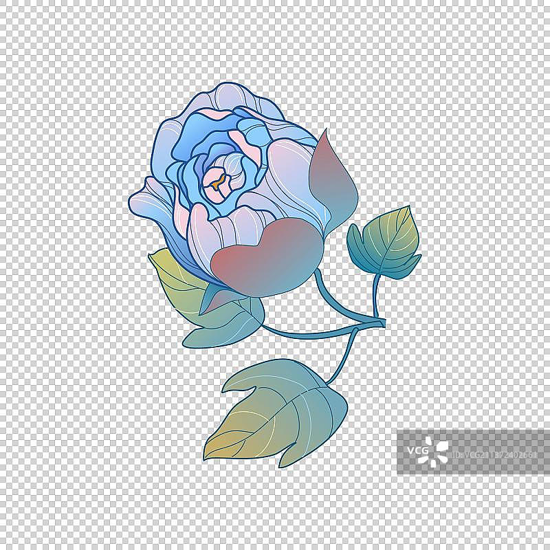 牡丹花朵图片素材