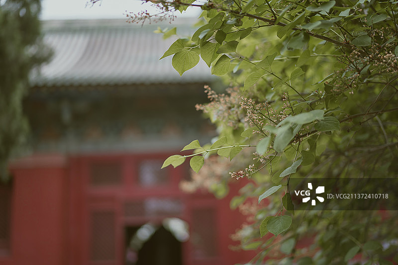 隆兴寺图片素材