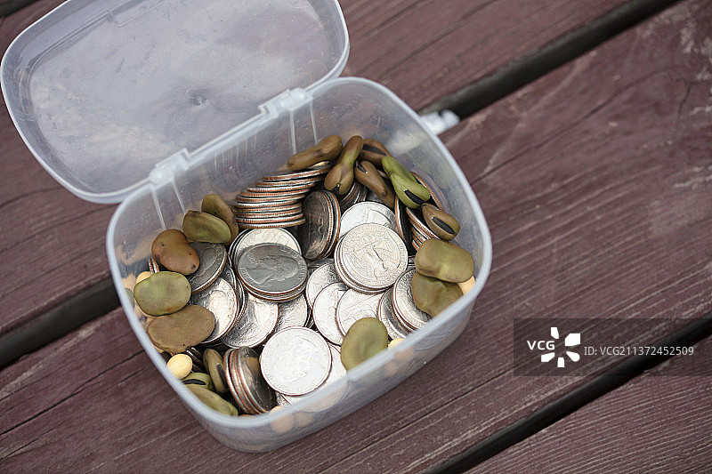 塑料盒子里的硬币和种子图片素材