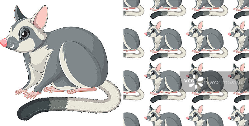 白色背景上的蜜袋鼯无缝设计图片素材
