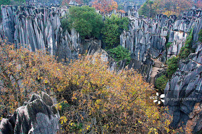石林风景区图片素材